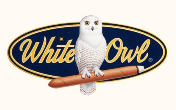 A white owl sitting on top of a cigar